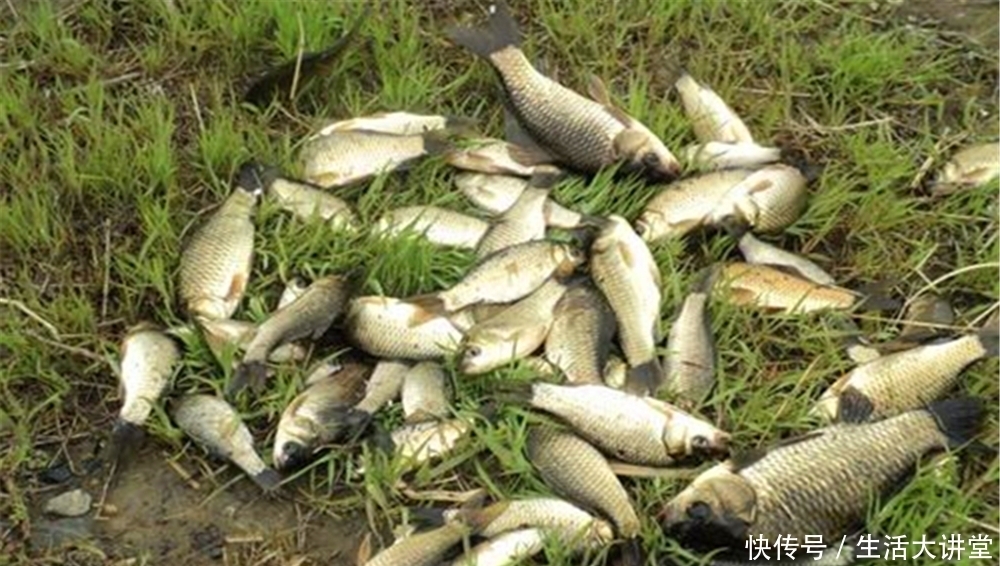 野钓选择钓位技巧：这些位置是“万能钓位”，一年四季是鱼窝！