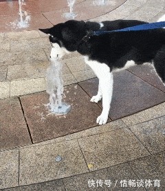 |搞笑GIF趣图段子:主任愣了一下说,舌头伸出来我看看