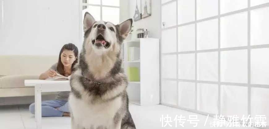 |开心一刻笑话：因为工作原因认识一漂亮妹子，发现她小腿特别的美