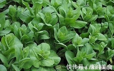 好处|常吃青菜好处多,但此种尽量少食,却有很多人还不清楚