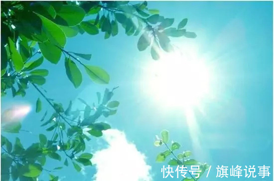 清阳|夏日养生靓汤,来了!