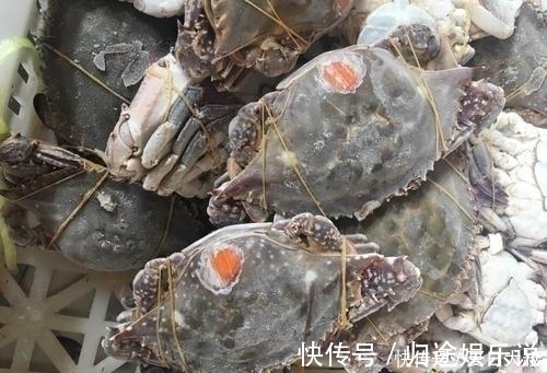 大厨|螃蟹能放冰箱冻多久大厨告诉你正确时间，说出来可能你不相信