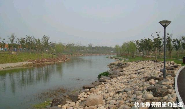 黄纳丁味道鲜美,钓它有什么技巧呢经验分享