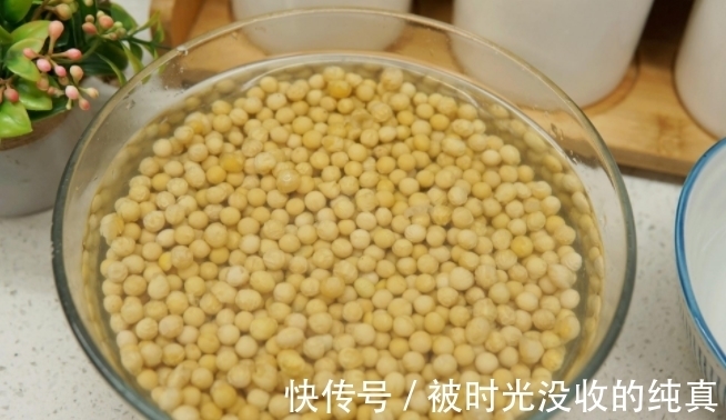 扦插育苗|养花小技巧:怎么自制黄豆肥?防范病虫害?扦插育苗?