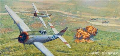 发现|二战时一位飞行员,挂树上长达70年,被发现后众人惊讶!