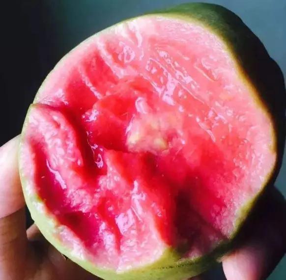 椰枣|立夏后，建议大家5种水果敞开吃，比抽烟喝酒强，营养极高