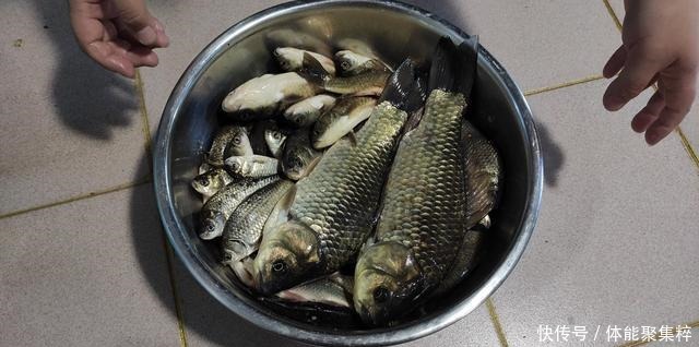 钓位选择|秋季野钓鲫鱼全攻略