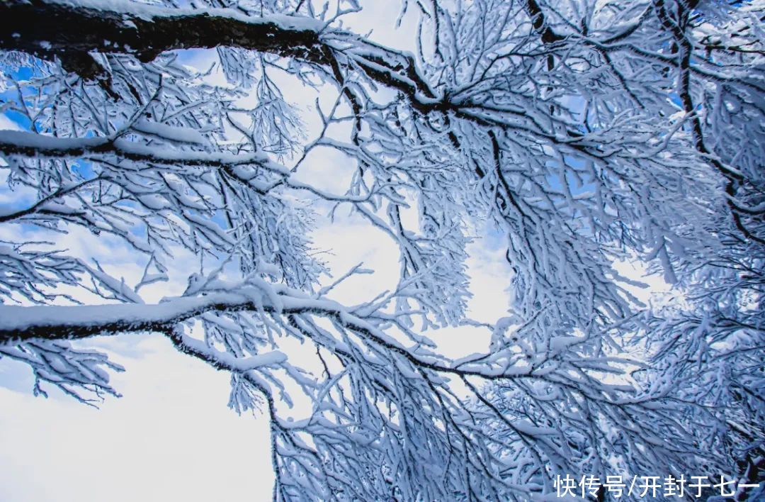 开通|约定好了！等云中最美高速开通，我们一起来白云山看雪