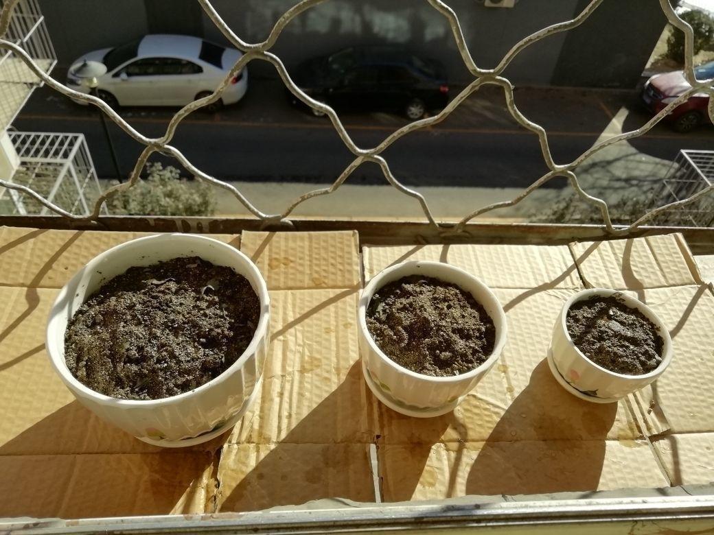 山泥|养花选土是关键,选对了这几种土,养啥啥爆盆!