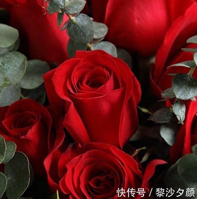 幸福生活|近段时间内,缘分与桃花大批来,向幸福生活行动的四大生肖!