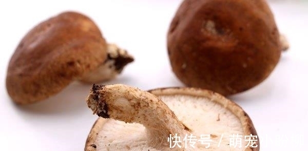 营养|晒干的香菇和新鲜的香菇,到底哪个营养高?看了你就知道了