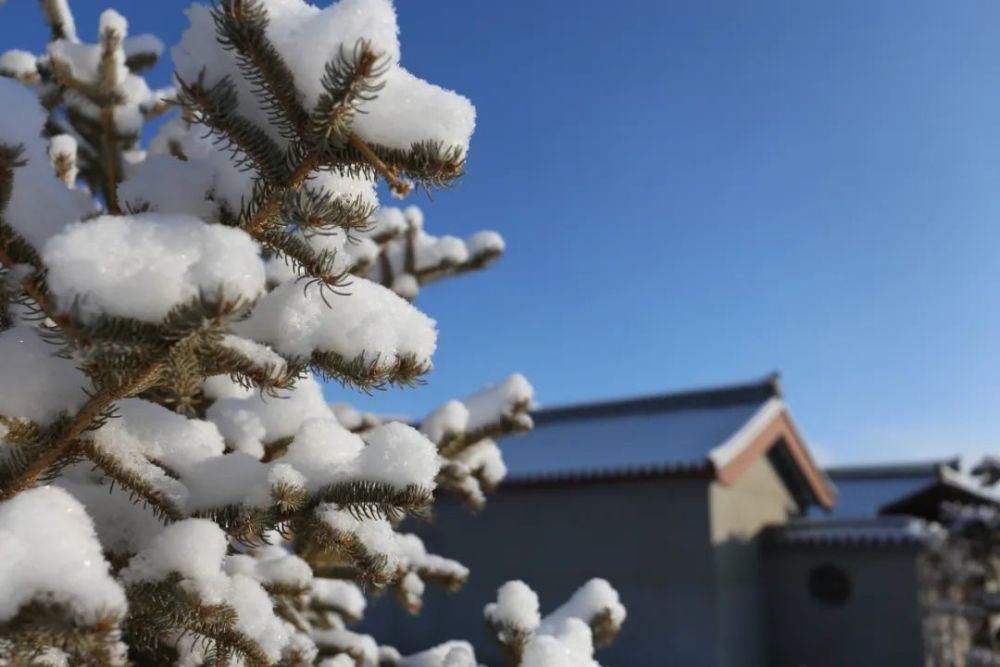 邂逅|冬季里的浪漫 就是在古街邂逅一场冰雪奇缘