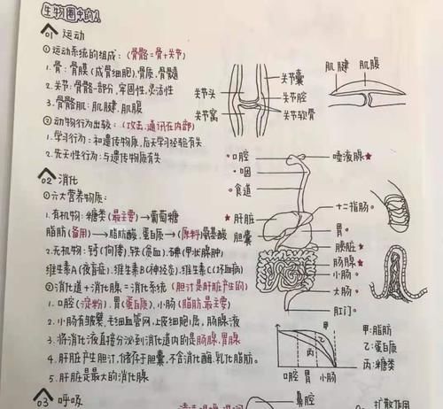 中小学生！可爱而工整的“奶酪体”，中小学生纷纷模仿，老师直言：忍不住就想扣分