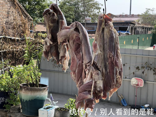 卤牛肉|卤牛肉时，记住“1腌2泡”的窍门，牛肉不柴不腥，好吃缩水少