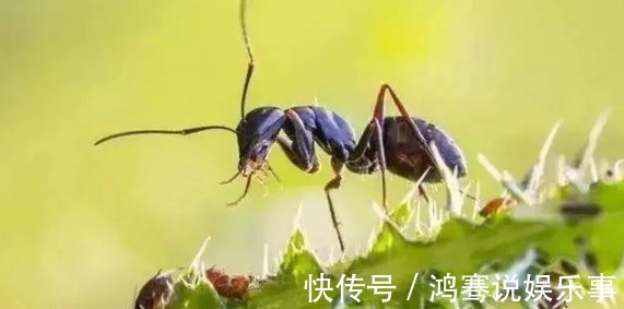 润泽|长寿的人,一般会有6大共性,占上2条以上,有望成为百岁老人