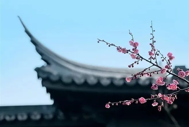 这首诗#刘禹锡被贬夔州,写下一首诗,最后7字一语双关惊艳千年