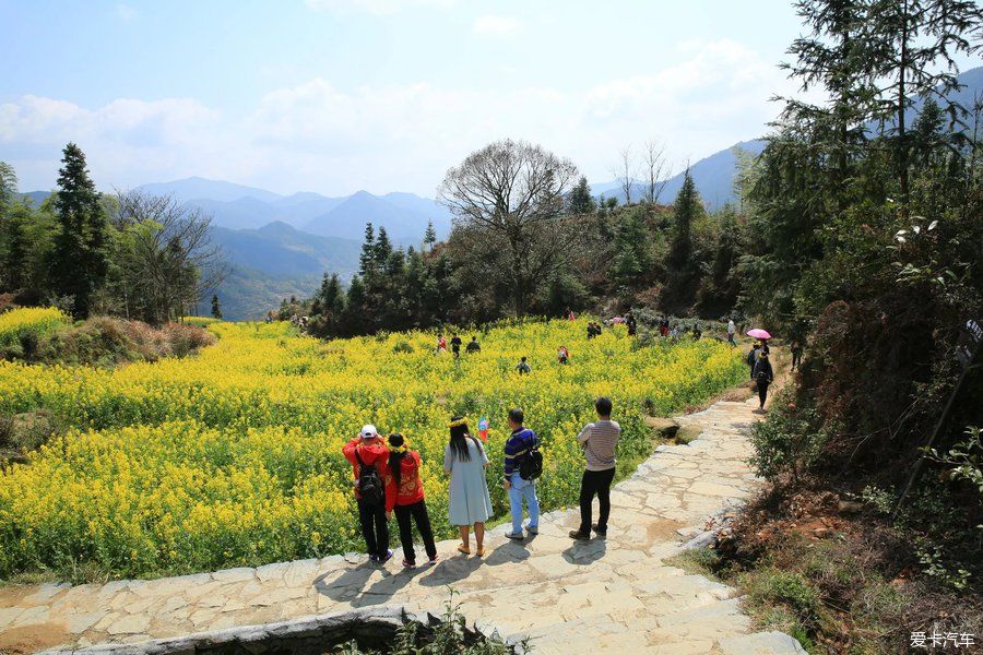 阳春三月，游婺源赏油菜花