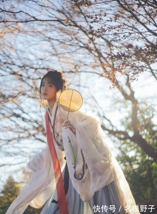 王维#王维很经典的一首诗,短短4句气象无限,康震评:李白也不如他