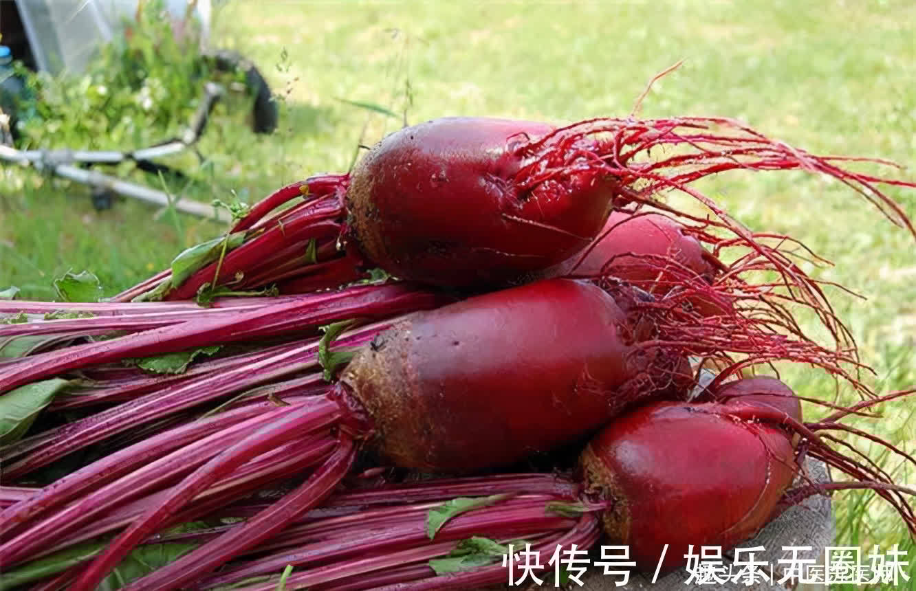 胭脂萝卜|秋天女性想气色好,吃好食物,美白润肤,补水养颜,抑制色素沉着