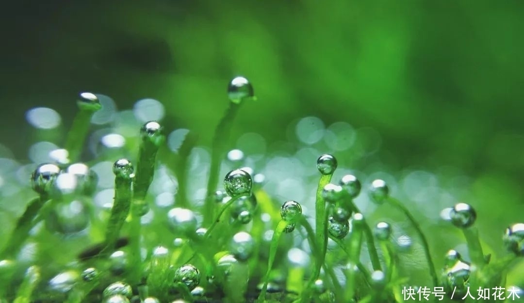 万物|立春丨听一曲古琴演奏《春风》万物知春,和风淡荡