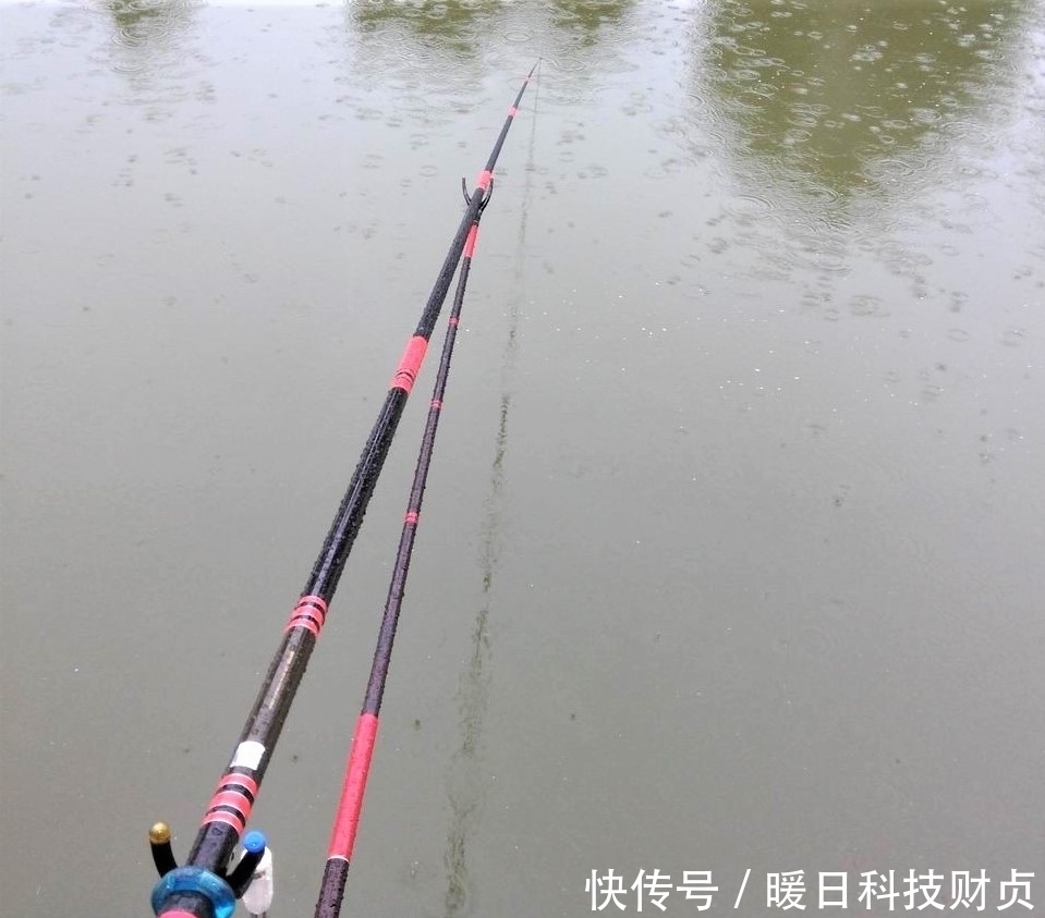 鱼类|夏天下暴雨,水变浑浊怎样钓鱼?注意几个方面细节,大鱼爆竿不停
