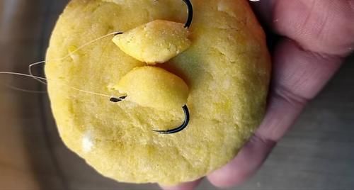 鲫鱼|不用蚯蚓和红虫,晚春用这三种“民间配方”上的都是大鲫鱼