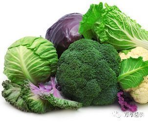 常识|养生小常识大全介绍