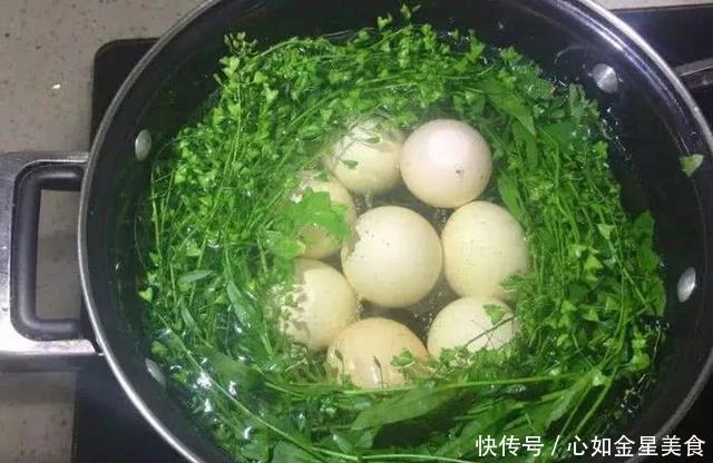 荠菜煮鸡蛋|劝告大家鸡蛋和此物一起煮,常食赶走癌细胞,双眼明亮,肝脏越来越健康