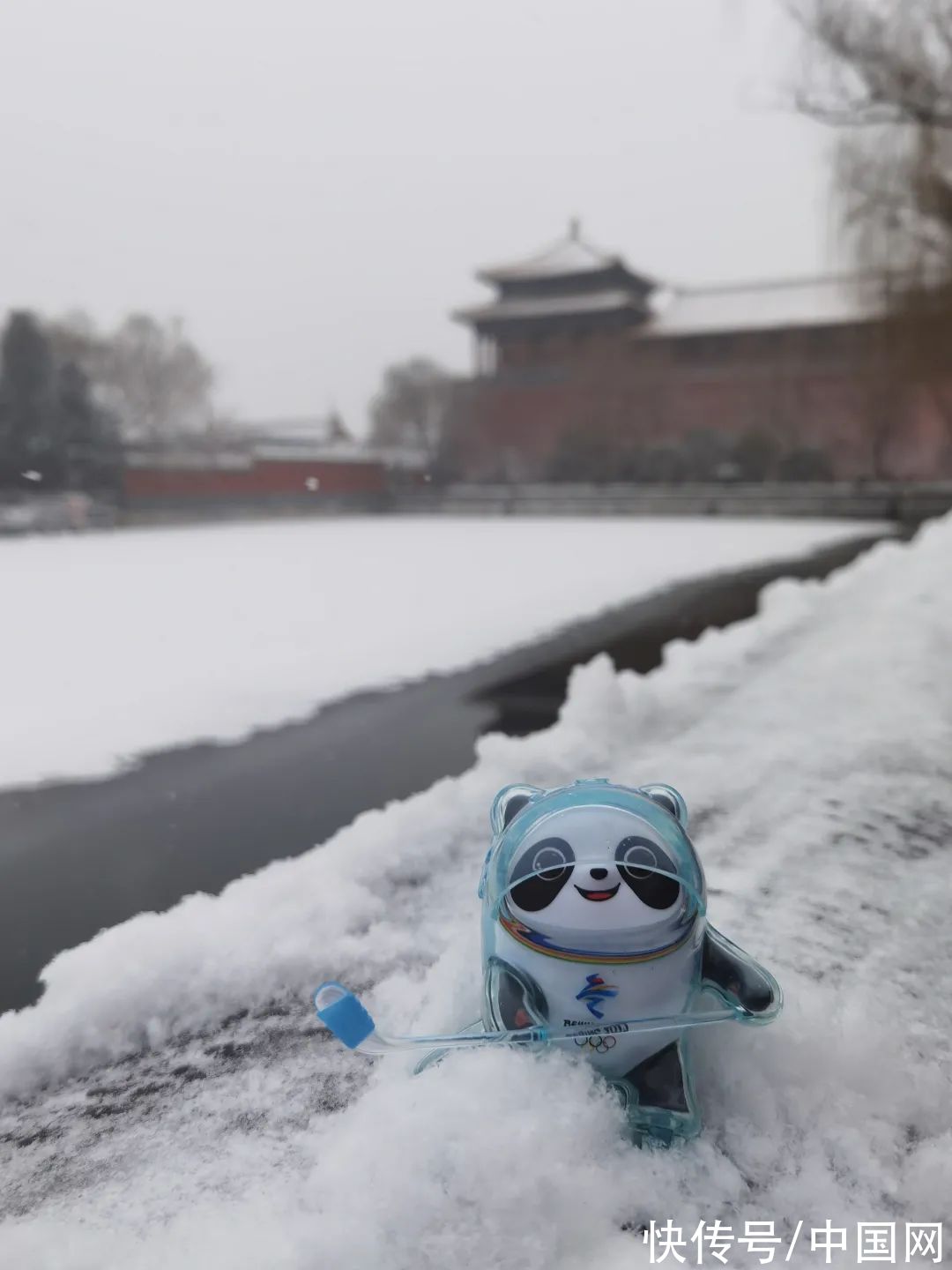 雪景|虎年初雪，故宫绝美雪景上新了