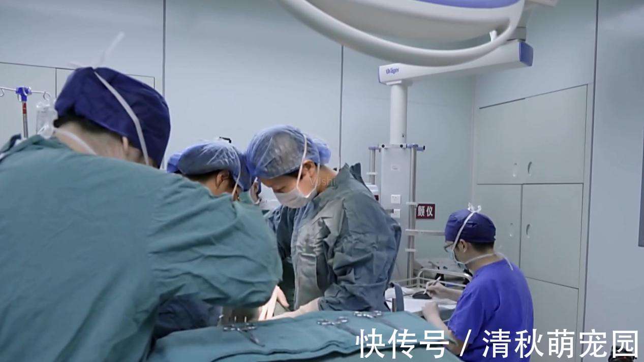 子宫|第一次剖腹产和第二次剖有啥区别?医生:同样是剖,区别却很大