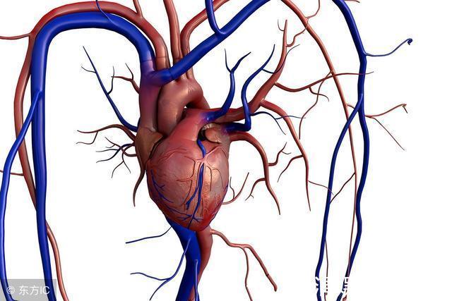心肌缺血|高血压患者的心率控制在多少比较合适呢心率不稳对身体危害