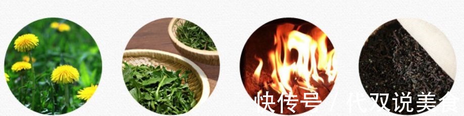 寒性|自己“晒干”的蒲公英,能当茶泡水喝吗有什么“禁忌”吗