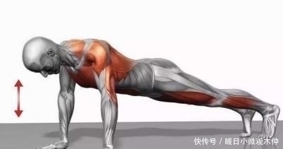 双杠臂|新手都在做俯卧撑,老手却拿双杠臂屈伸练胸,这两个动作差在哪