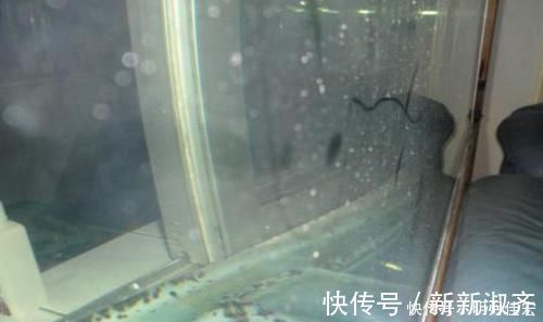玻璃胶|越来越多人卫生间装修不用玻璃胶,他们用这种代替,懊悔没早知道