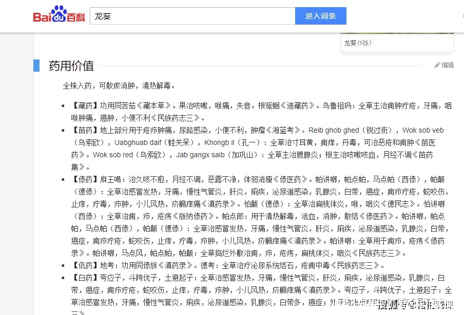 鲜美|认识一下龙葵，不仅味道鲜美而且药用价值非常高的野菜