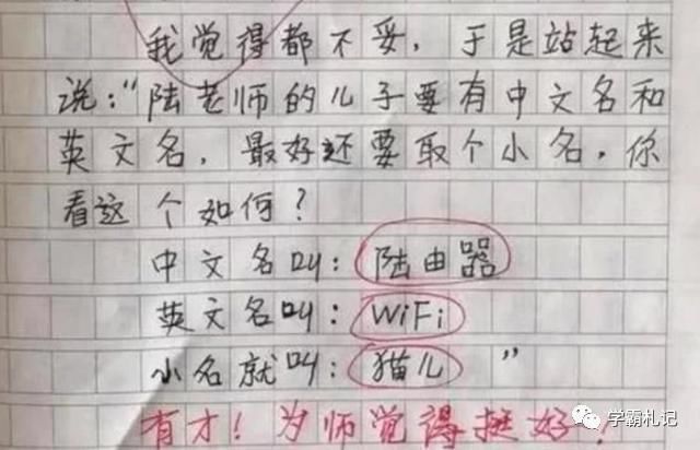 小名|小学生满分作文《起名字》火了，中英文双语并附赠小名，老师评优！