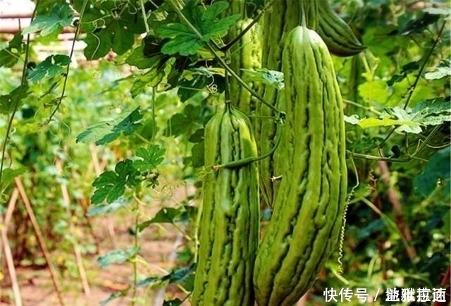 血糖|血糖高不高，先看身体对“饿”的反应，若无4个异常，血糖算稳定