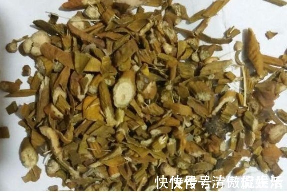 菟丝子|被称为天然雄性激素，男性坚持泡水喝，肾脏回春，年轻不显老！