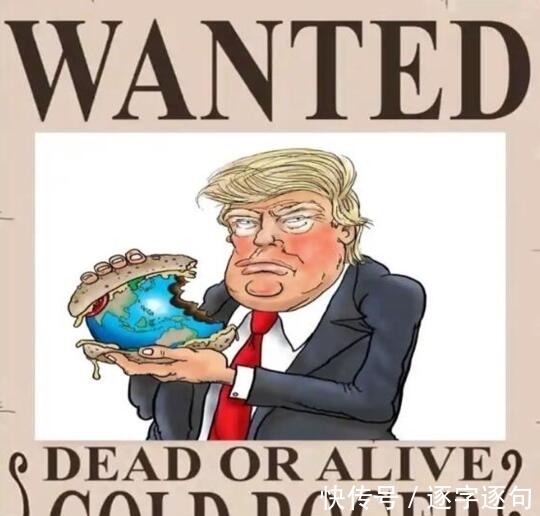 漫迷们|海贼王:本以为罗杰赏金最高,当他的赏金公布后,漫迷:太爆炸了