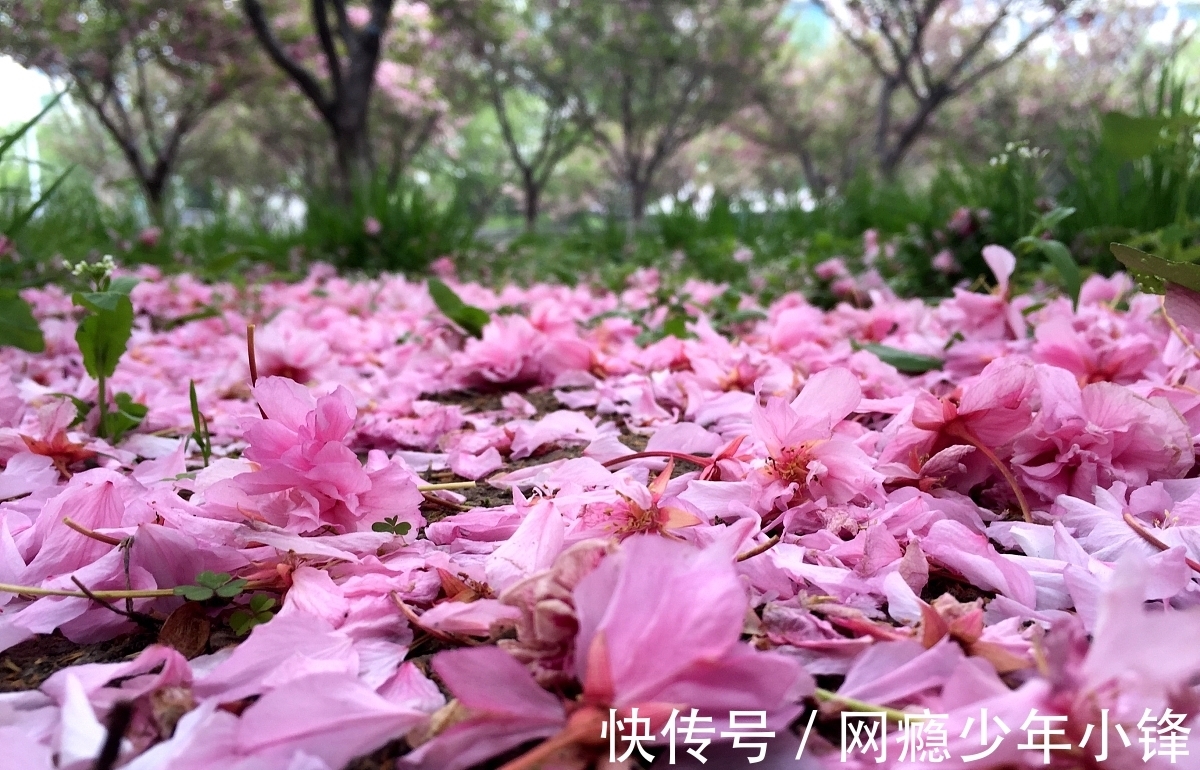 郑文宝@这5首诗都是宋诗中的精华,你喜欢哪一首呢