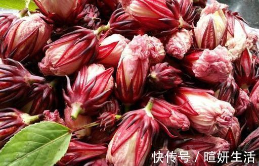 玫瑰茄|女性不想老太快,学会常吃以下食物,水嫩肌肤,更显年轻