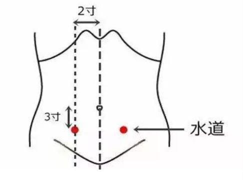 冬季夜间尿频?自我调理可按穴位,结合情绪、饮食、运动调护|健康 | 足少阴肾经