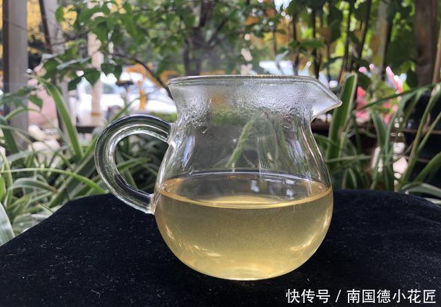  春茶|《老徐鉴茶》389期：凤庆三岔河头春茶品鉴报告（云南茶友寄）