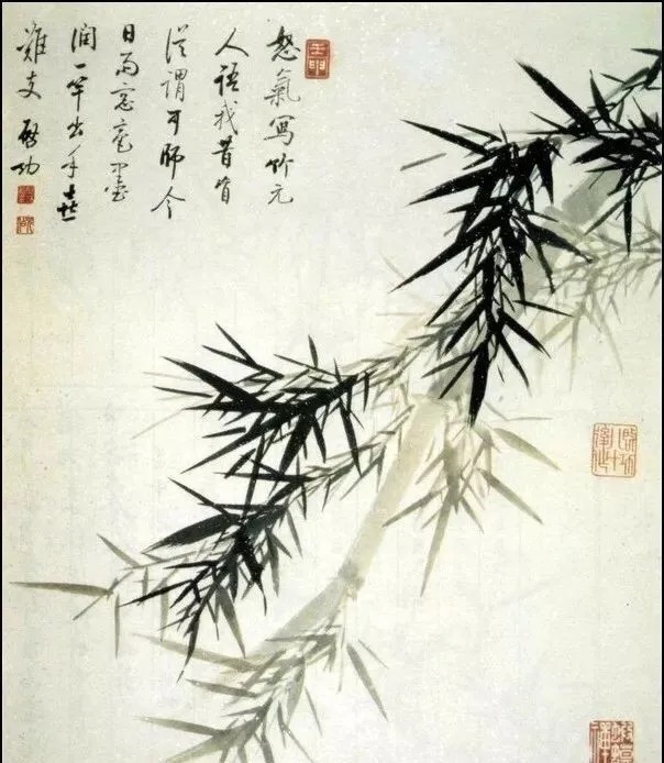 画竹@启功画竹大全,清秀至极!