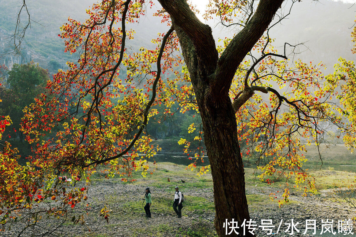 流年!次第回眸,秋雨惊心,愿岁月化为沧海,愿你我归于初见