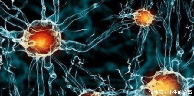 器官|人被割掉一个器官后,为何长不出新的来说出来不可思议