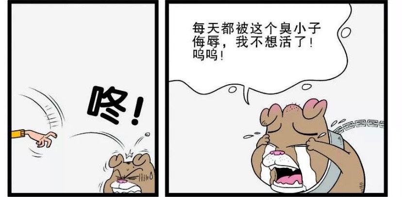 自尊|阿衰：动物也有自尊，请予以善待！