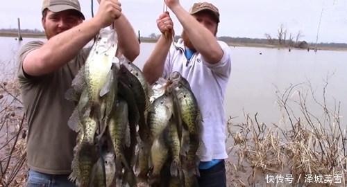 野河钓上2串鱼,既不是鲫鱼也不少鲤鱼,网友说是鳜鱼,价格贵