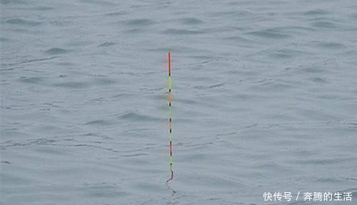 技巧|调漂技巧:详解空钩调漂和带饵调漂,哪种调漂方法更适合野钓?