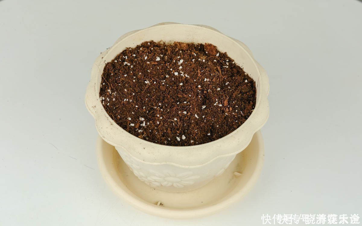 碱性|养花土碱性太大?3个方法轻松解决,养好花不成问题